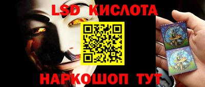 твердый Новозыбков