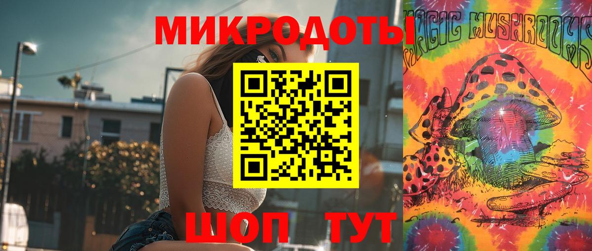 Псилоцибиновые грибы Psilocybine cubensis Северобайкальск