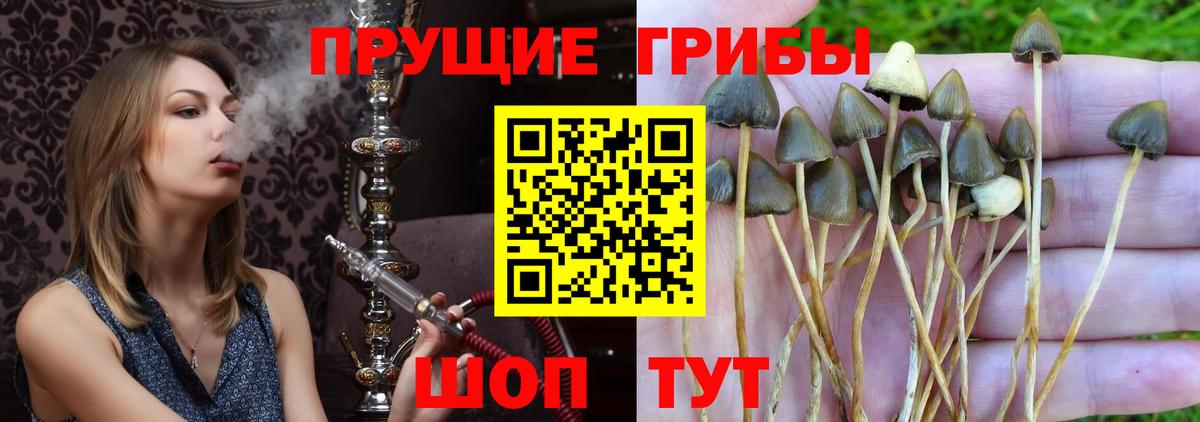 Галлюциногенные грибы мухоморы  Вход с VPN  Северобайкальск 